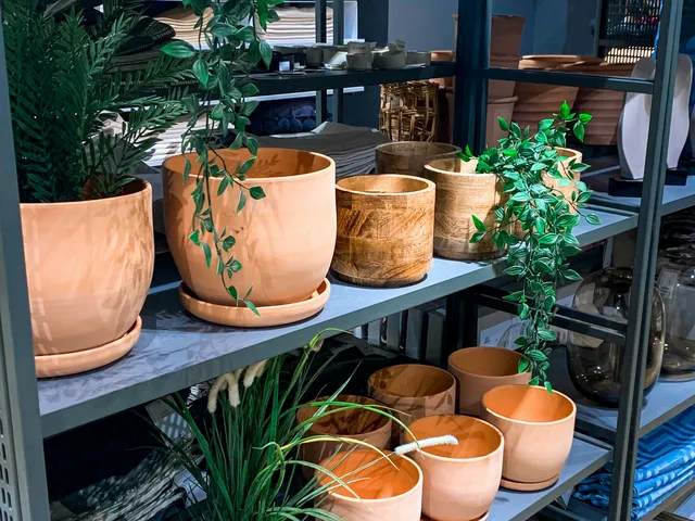 Home essentials catalog display